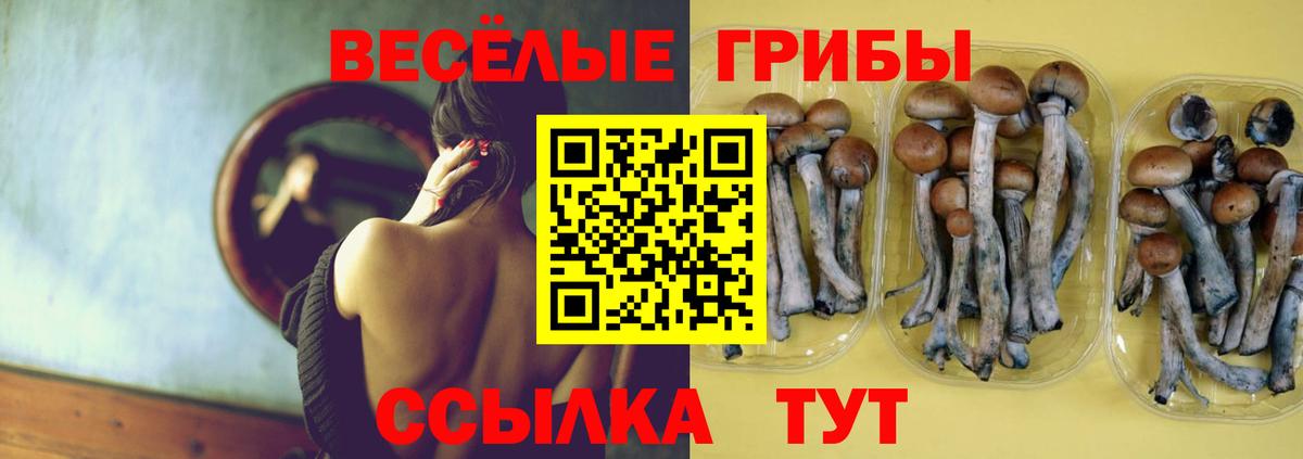 Псилоцибиновые грибы Psilocybine cubensis  Вход с VPN  даркнет сайт  Богородск 